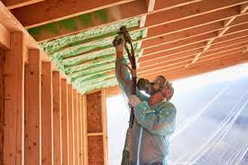 Best Eco-Friendly Insulation Solutions  in Fort Payne, AL